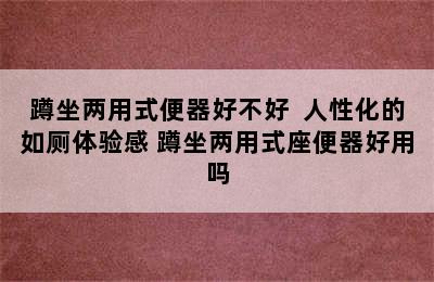 蹲坐两用式便器好不好  人性化的如厕体验感 蹲坐两用式座便器好用吗